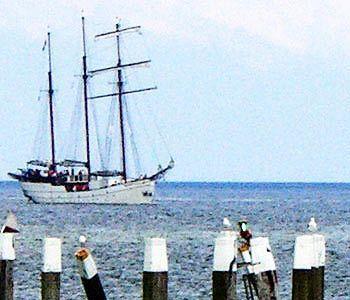 Hotel Havenhotel At Sea Texel